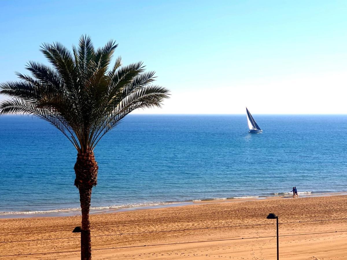 דירות אליקאנטה Jardin Playa San Juan מראה חיצוני תמונה